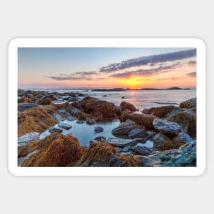 Sunrise Seascape at Sachuest Wildlife Refuge Sticker